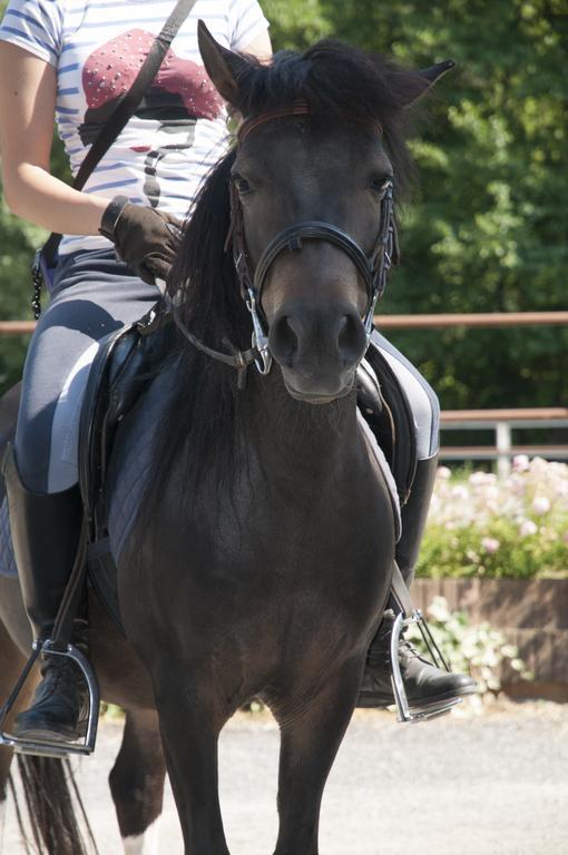 Agriturismo Jesson Rosamund Cantù Dış mekan fotoğraf