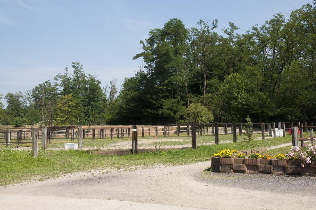 Agriturismo Jesson Rosamund Cantù Dış mekan fotoğraf