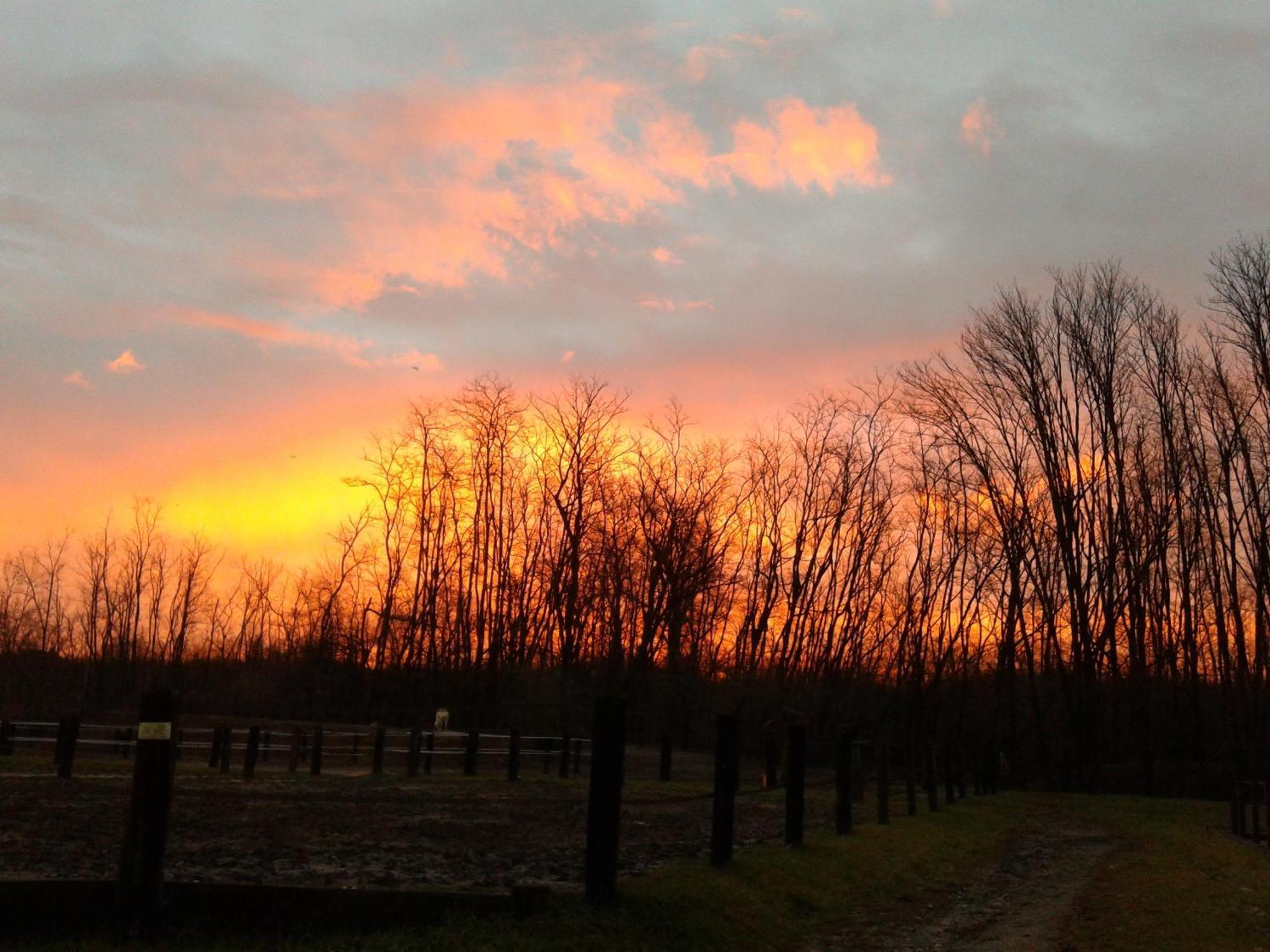 Agriturismo Jesson Rosamund Cantù Dış mekan fotoğraf