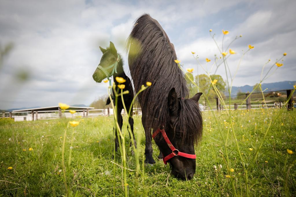 Agriturismo Jesson Rosamund Cantù Dış mekan fotoğraf